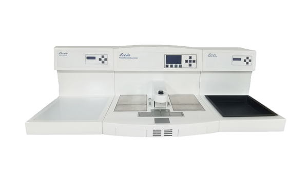Microbiology – Rhibinds Biotech